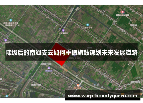 降级后的南通支云如何重振旗鼓谋划未来发展道路